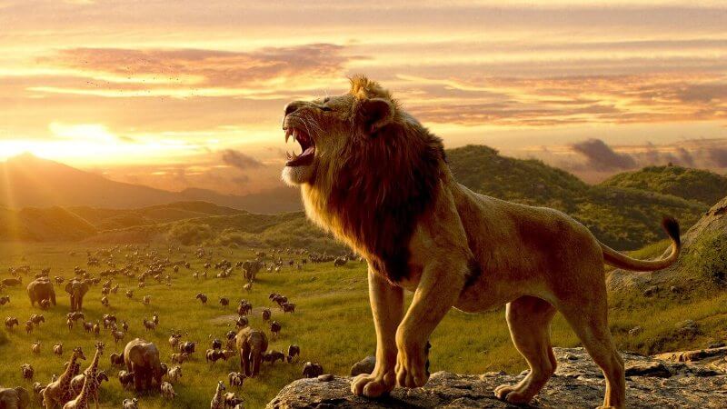 Кадр из фильма Муфаса: Король лев